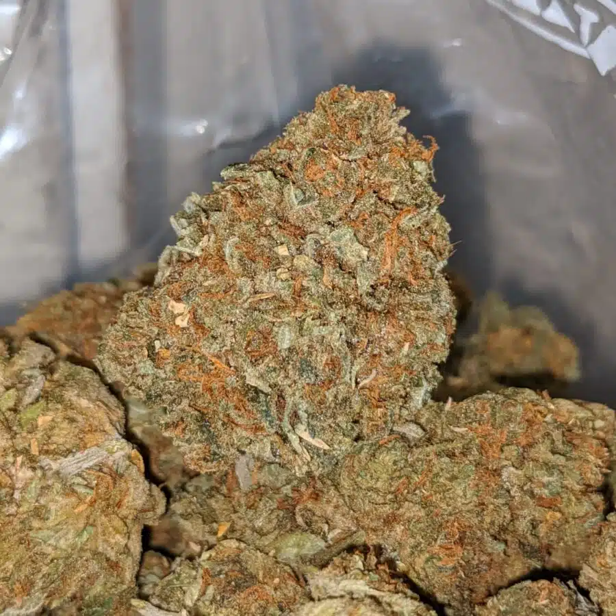 ORANGE CREAM 2 I Sour OG - *Deal Of The Day*
