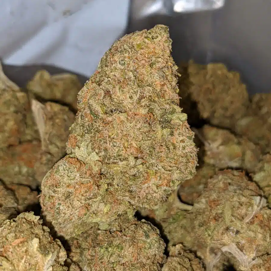 PINEAPPLE MOCHI 1 I Platinum Kush Berry - *Deal Of The Day