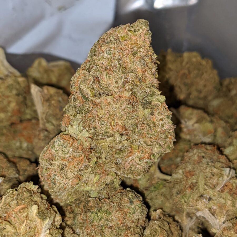 Platinum Kush Berry - *Deal Of The Day - Image 2