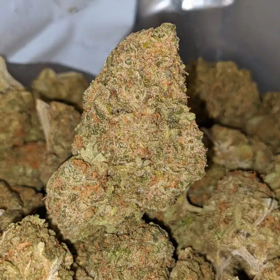 Alternative view of Platinum Kush Berry - *Deal Of The Day