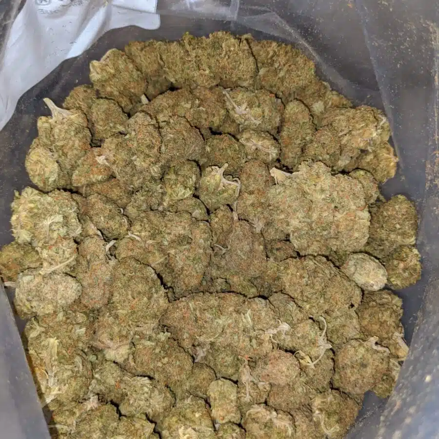 PINEAPPLE MOCHI 4 I Platinum Kush Berry - *Deal Of The Day