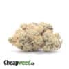 Platinum Mendo Cookies