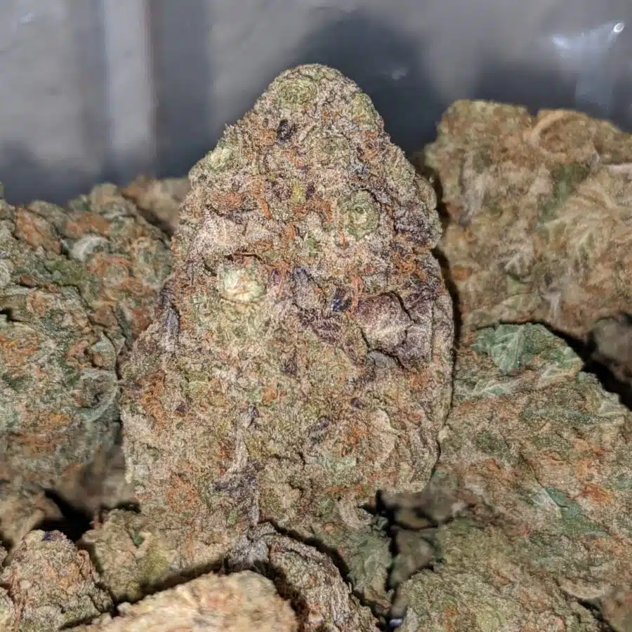 RAINBOW PUNCH 1 I White Nuken