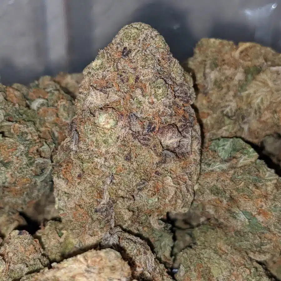 RAINBOW PUNCH 2 I White Nuken