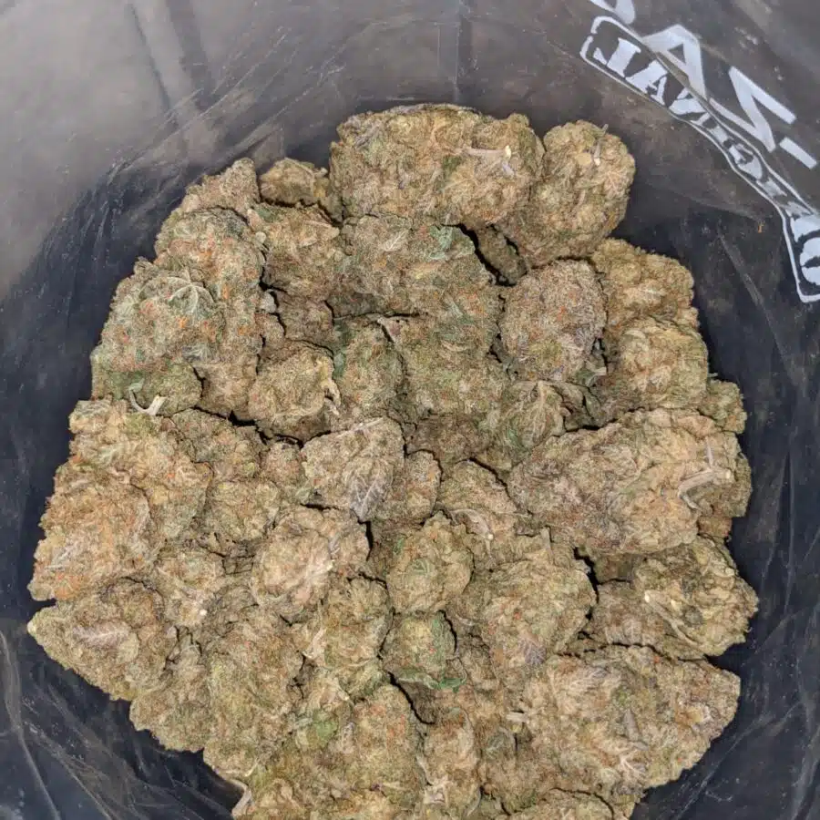 RAINBOW PUNCH 4 I White Nuken
