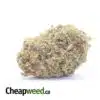 Sour Amnesia AA+