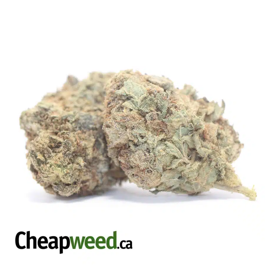 Alternative view of Sour Amnesia AA+