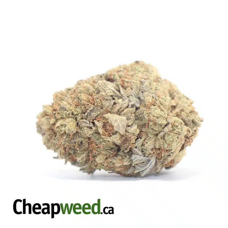 Sour Wreck Bulk Special
