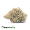 Sweet Tangerine Bulk Special