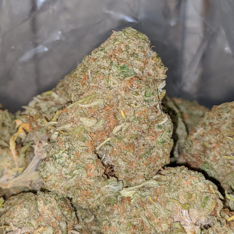 Sugar cookies dod 1 I Sugar Cookies - *Deal Of The Day*