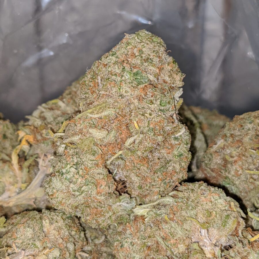 Sugar cookies dod 2 I Sugar Cookies - *Deal Of The Day*