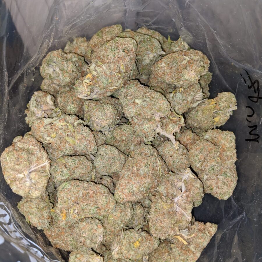 Sugar cookies dod 3 I Sugar Cookies - *Deal Of The Day*