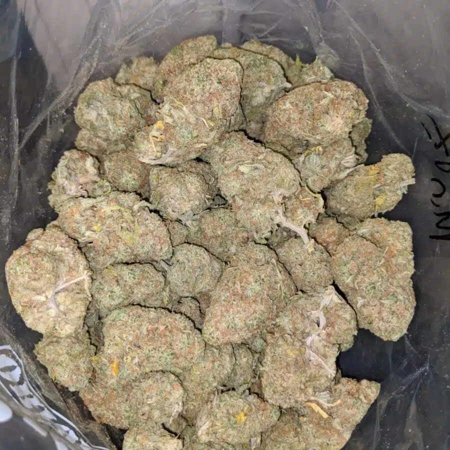 Sugar Cookies - *Deal Of The Day*