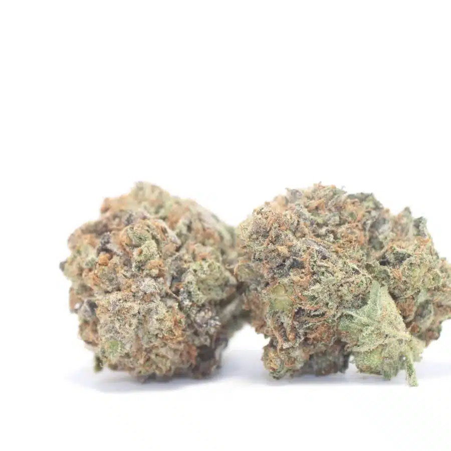 TONY LA CON 2 1 scaled I Tony's LA Confidential