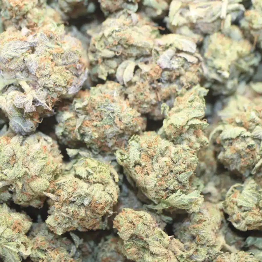 TONY LA CON 3 1 scaled I Tony's LA Confidential
