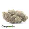 Tonys Wifi Og