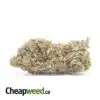 WTF Kush #2