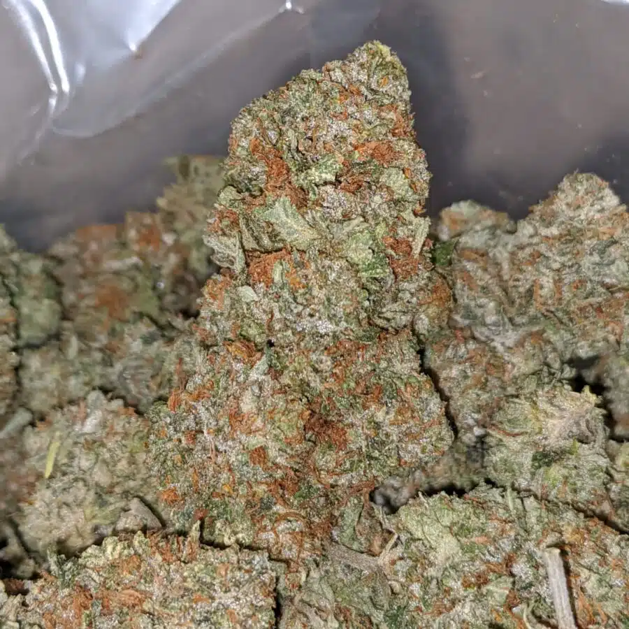 WHITE KUSH dod1. jpeg I White Kush - *Deal Of The Day*