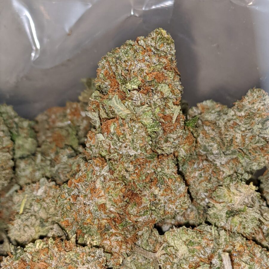 WHITE KUSH dod2. jpeg I White Kush - *Deal Of The Day*