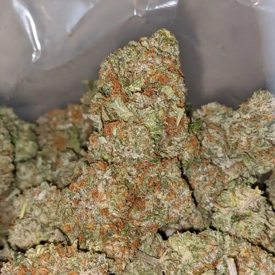 Alternative view of White Kush - *Deal Of The Day*