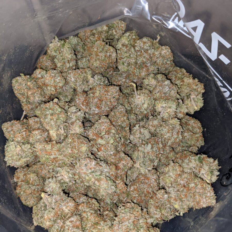 WHITE KUSH dod3. jpeg I White Kush - *Deal Of The Day*
