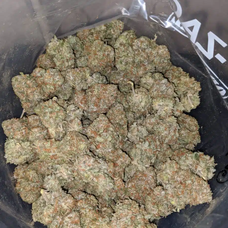 WHITE KUSH dod3. jpeg I White Kush - *Deal Of The Day*
