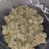 White Kush - *Deal Of The Day*