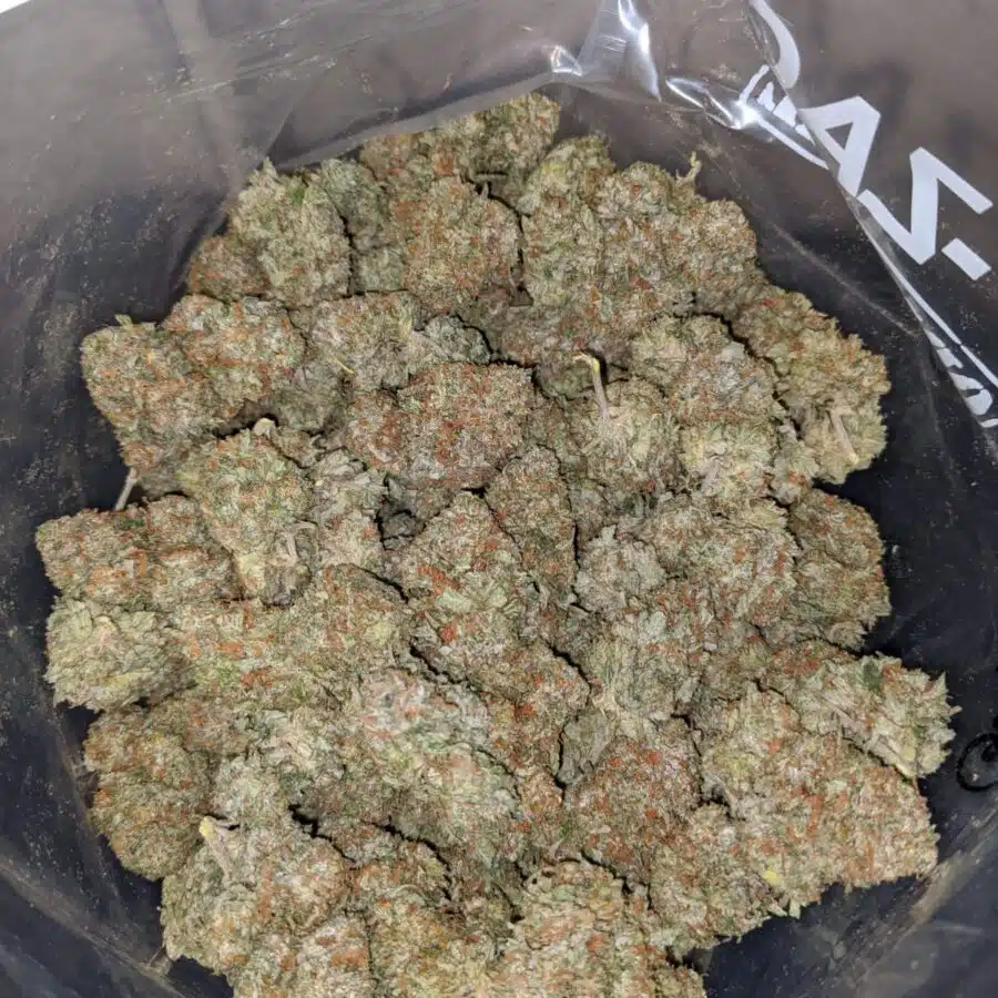 White Kush - *Deal Of The Day*
