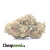 White Train Haze