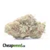 White Train Haze