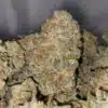 Flurricane