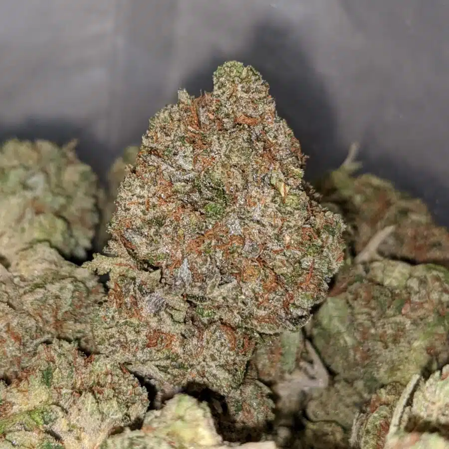 Tonys Platinum Gas