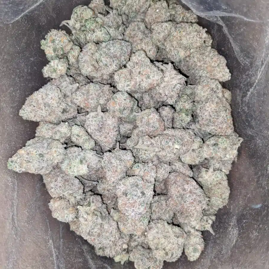 White Berry 1 I $ 52 Oz - White Berries