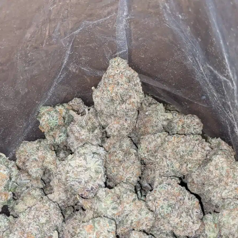 White Berry 4 I $ 52 Oz - White Berries