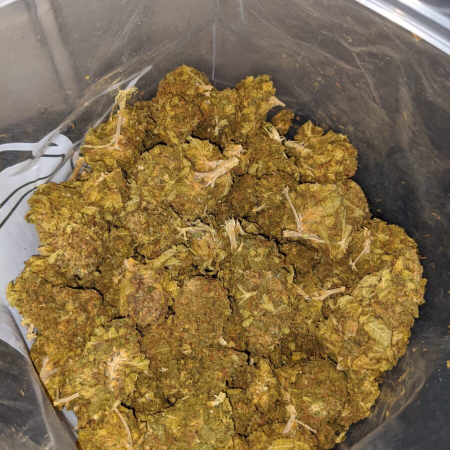 Budget Kush