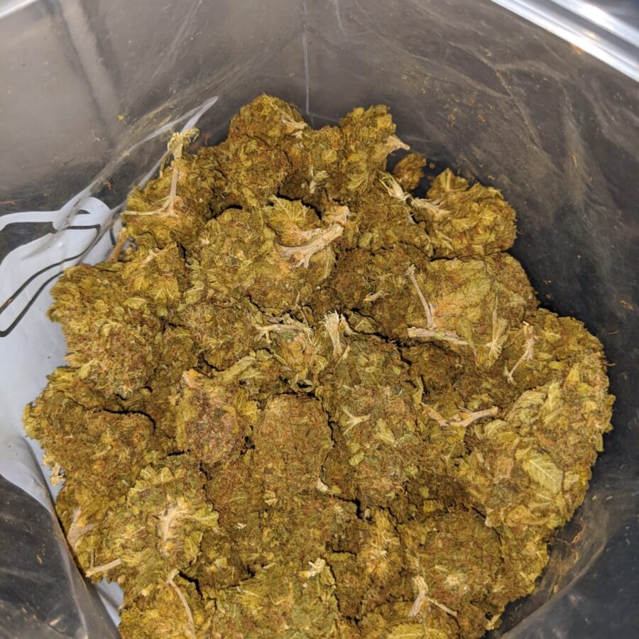 Budget Kush - Image 4
