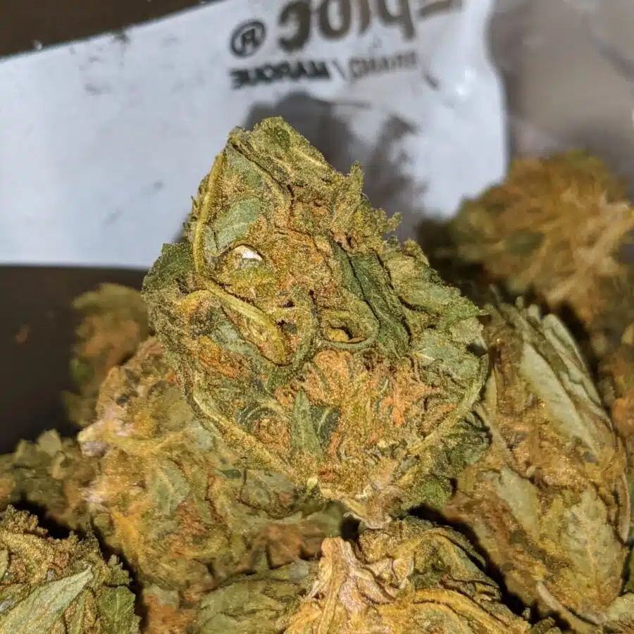 aa kush 1 I $19 oz - Budget Kush