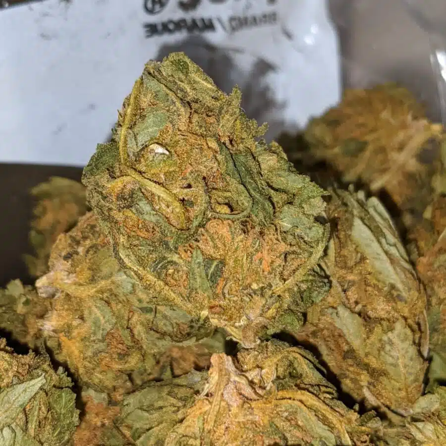 aa kush 2 I $19 oz - Budget Kush