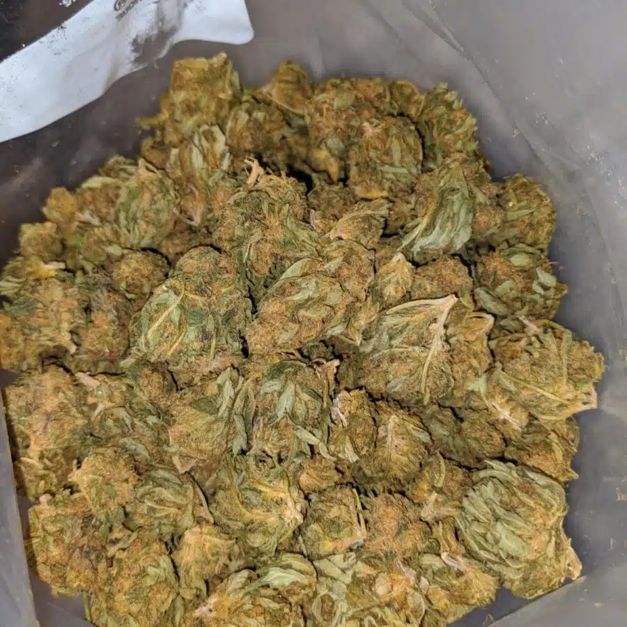 aa kush 3 I $19 oz - Budget Kush