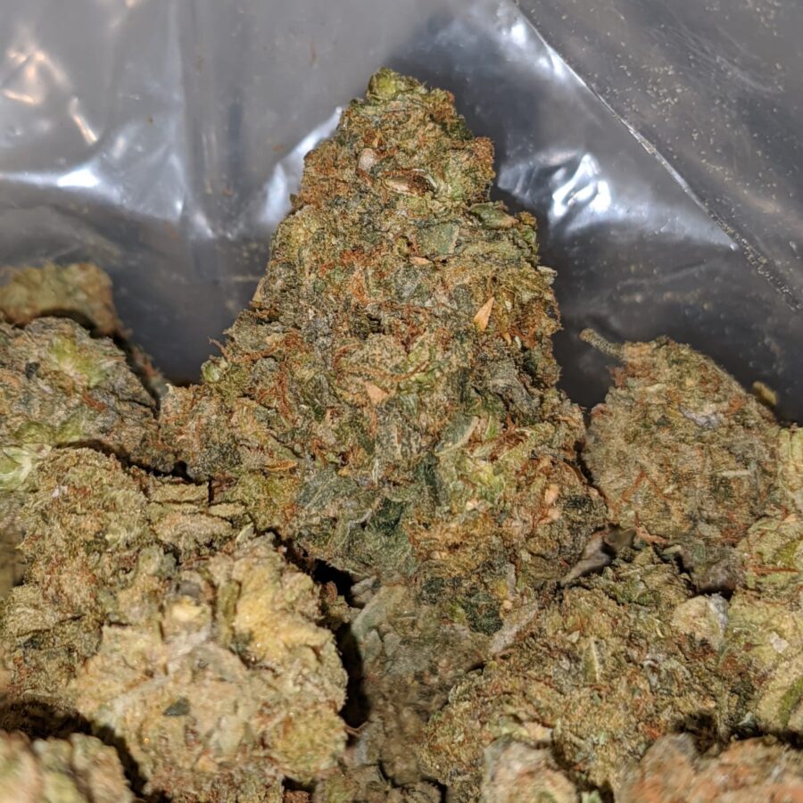 aa white bubba 1 I AA+ White Bubba