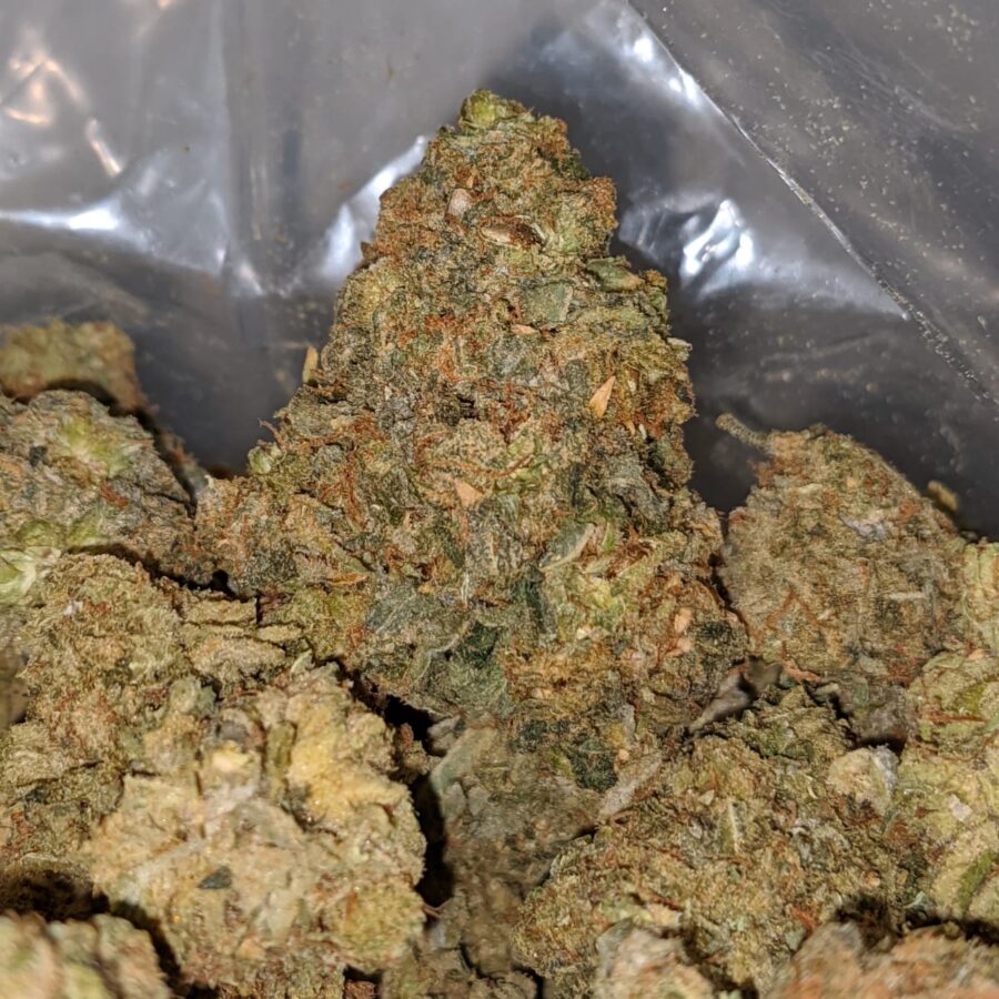 aa white bubba 2 I AA+ White Bubba