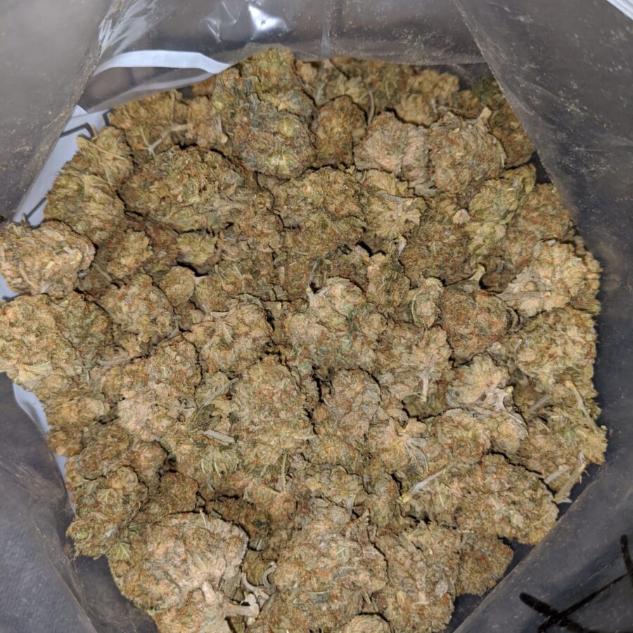 aa white bubba 3 I AA+ White Bubba