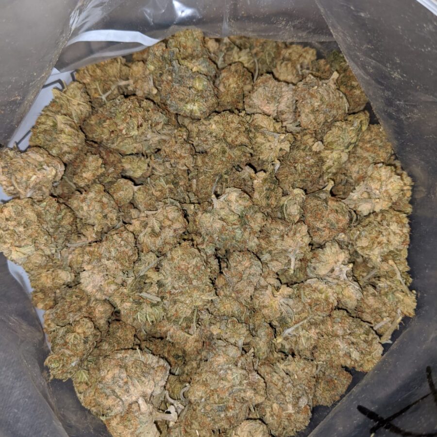 aa white bubba 4 I AA+ White Bubba