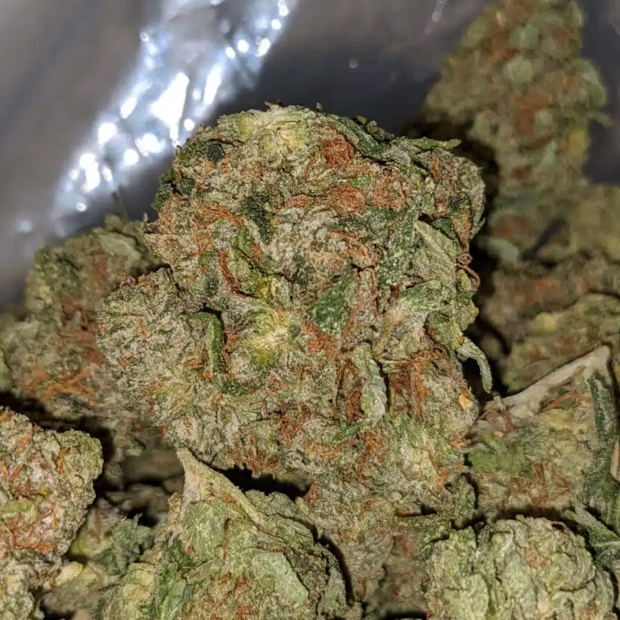 black bubba dod 1 I Black Bubba - *Deal Of The Day*