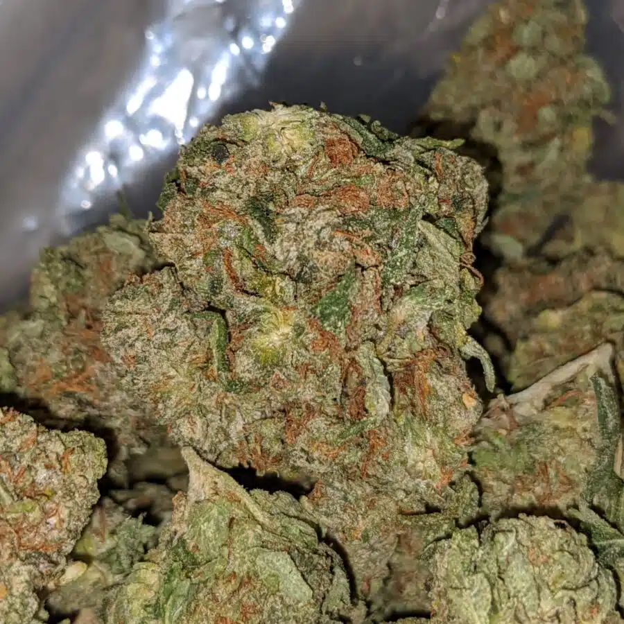 Alternative view of Black Bubba - *Deal Of The Day*