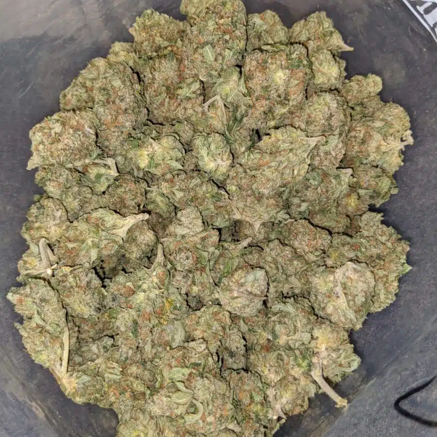 Black Bubba - *Deal Of The Day*