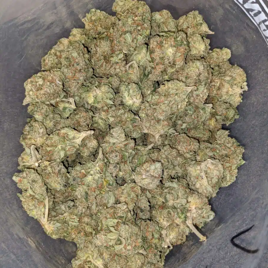 black bubba dod 4 I Black Bubba - *Deal Of The Day*