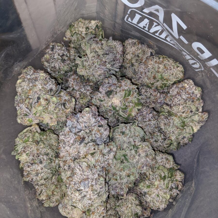 black comatose aaaa 7 I Black Comatose AAAA+