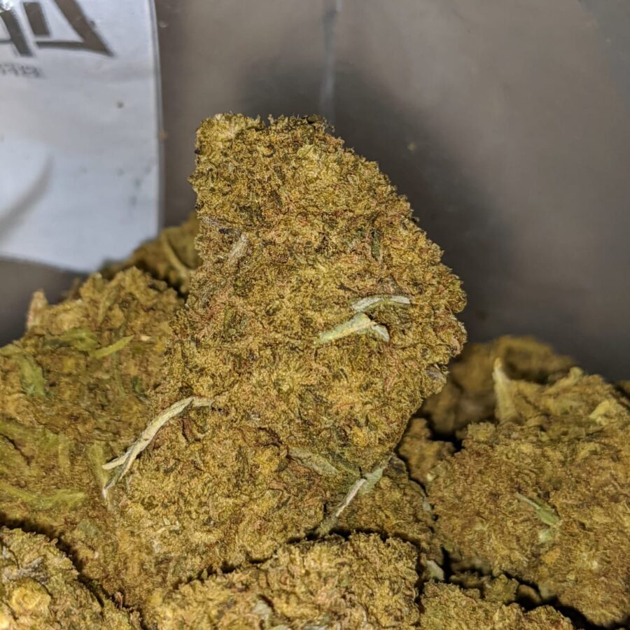 black kush aa 1 I Black Kush AA+