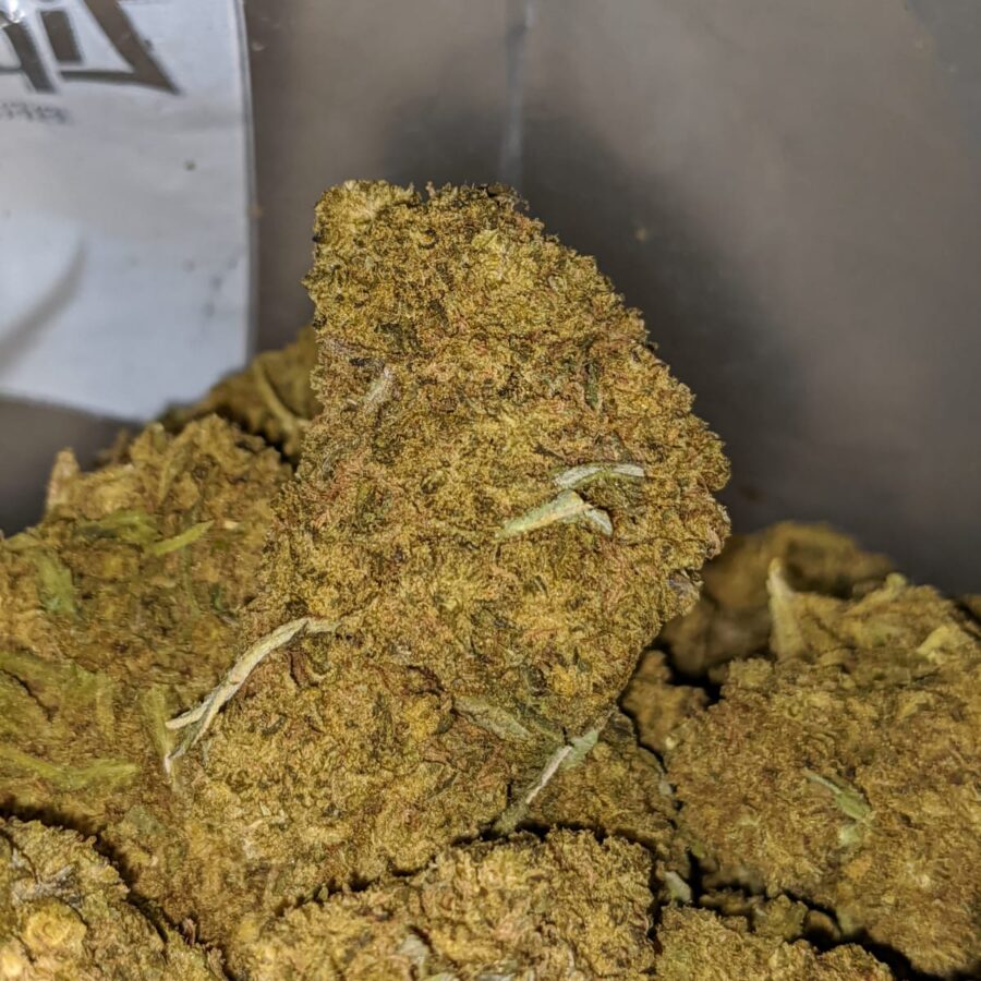 black kush aa 2 I Black Kush AA+